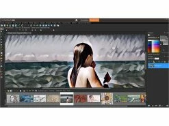 Corel Bildbearbeitungsprogramm:Paintshop Pro 2019 (Crossgrade/Upgrade) -Infactory shop pk5222 9
